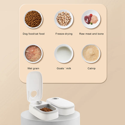 Automatic Dog & Cat Food Dispenser with Timer - Programmable Smart Pet Feeder, Stainless Steel Bowl